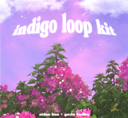 Aidan Han and Gavin Hadley Indigo guitar loop kit WAV